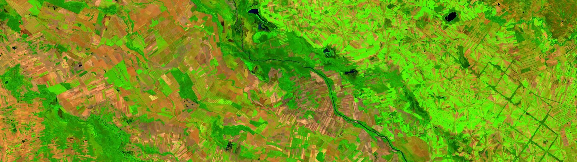 pinkearth — project image