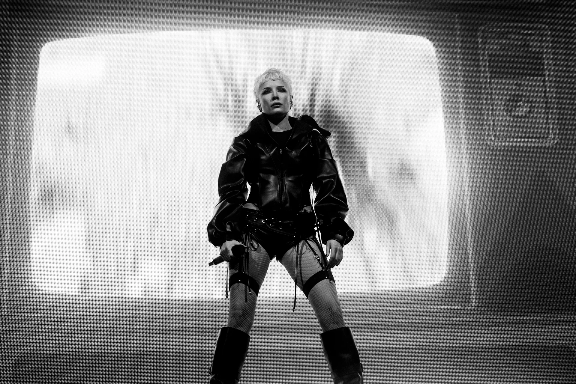 halsey — project image