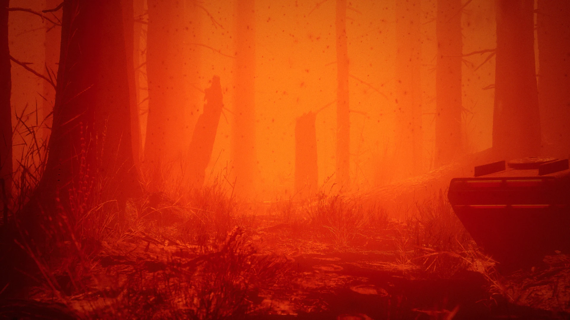 run — project image