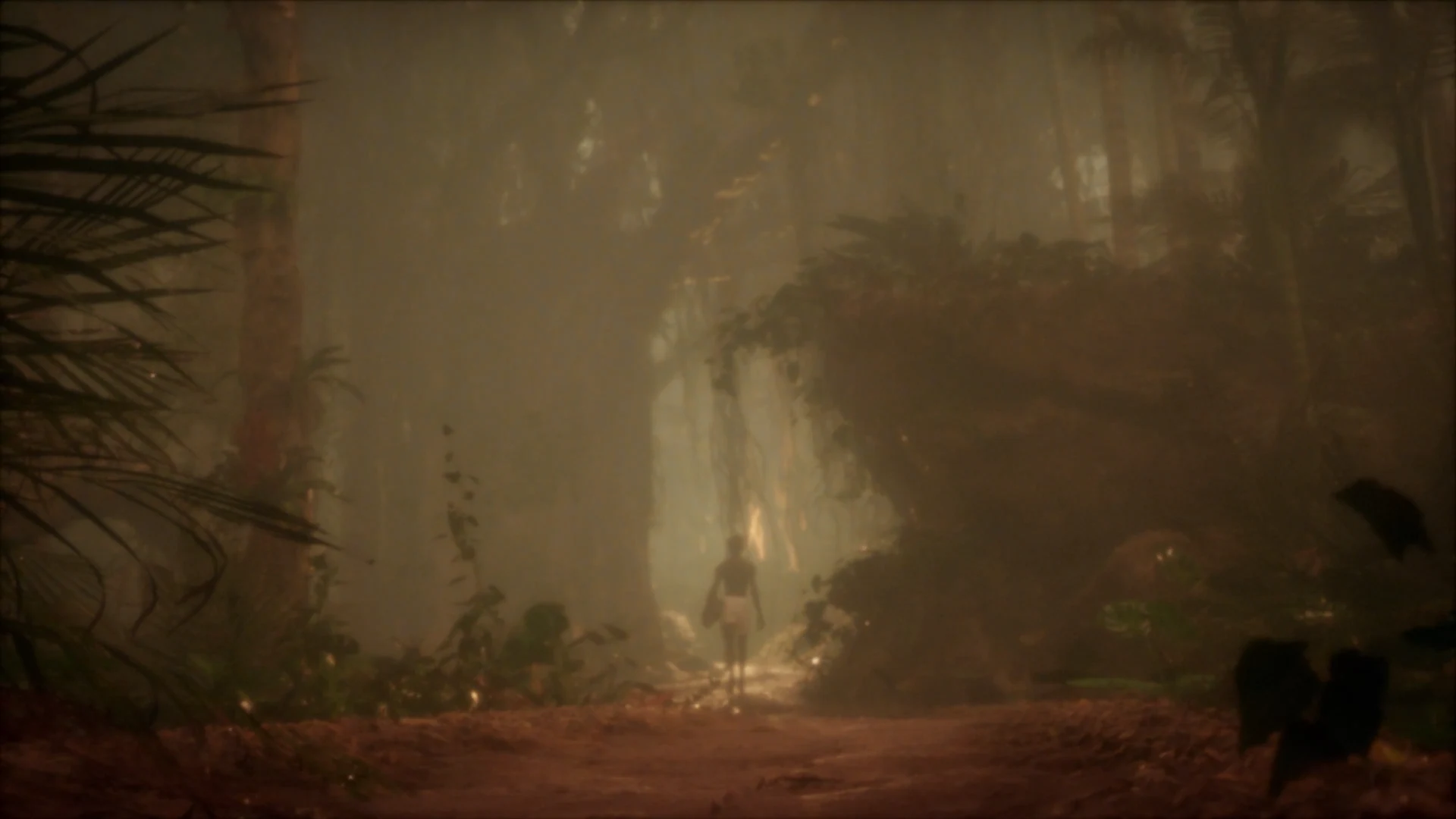 risingdawn — project image