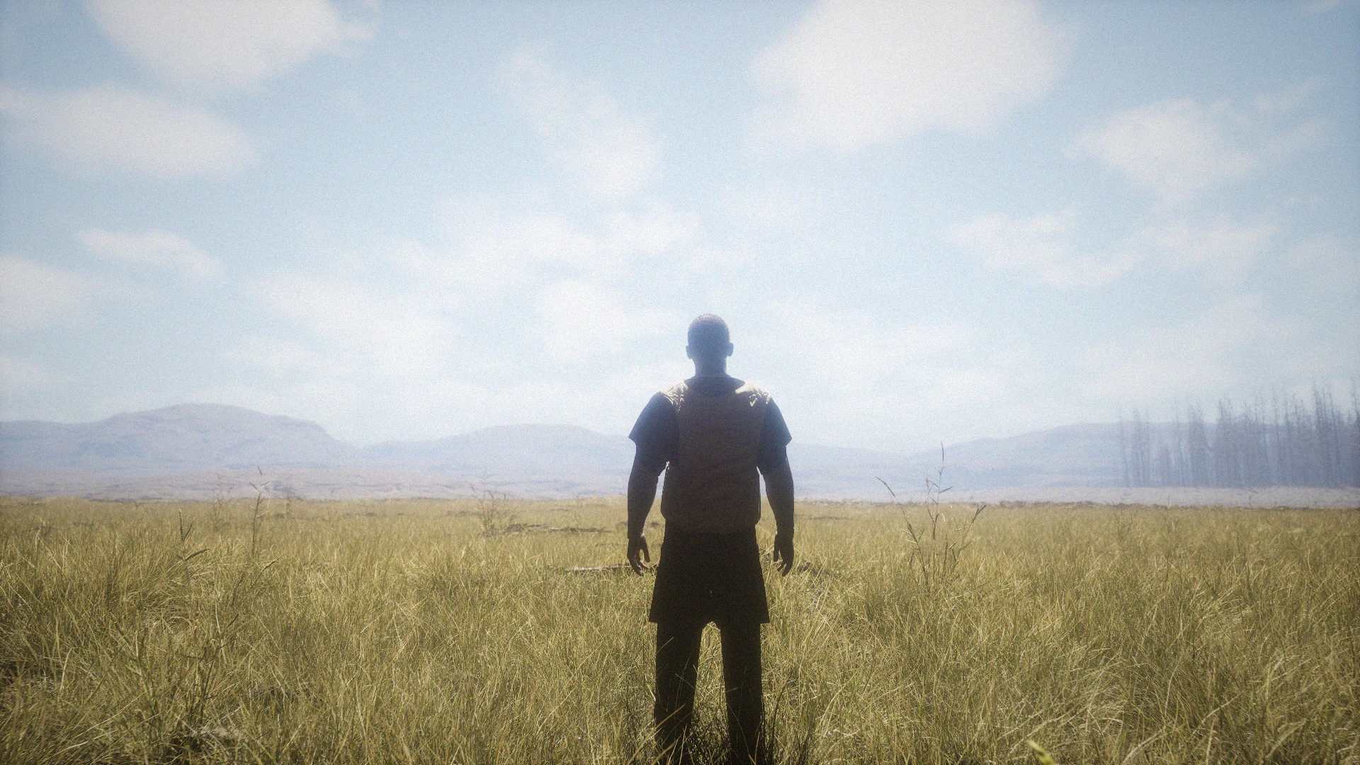 run — project image