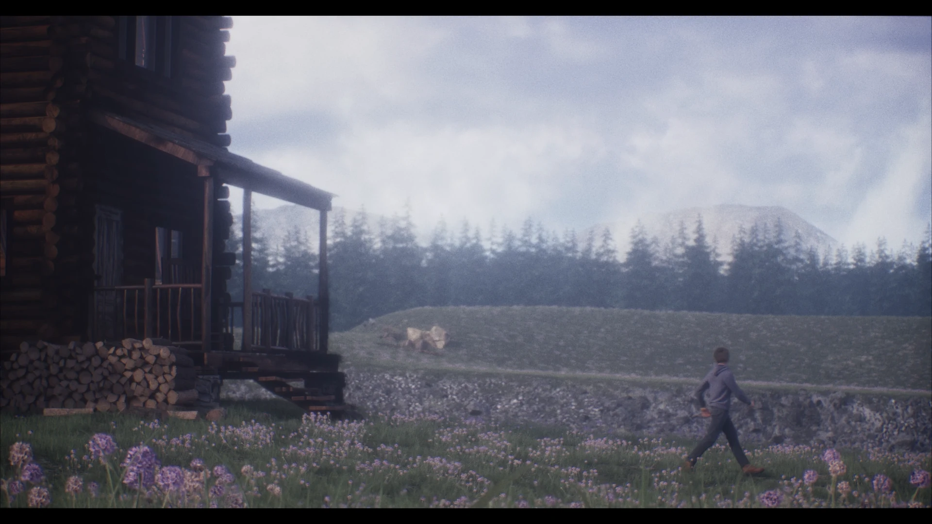 edalo — project image