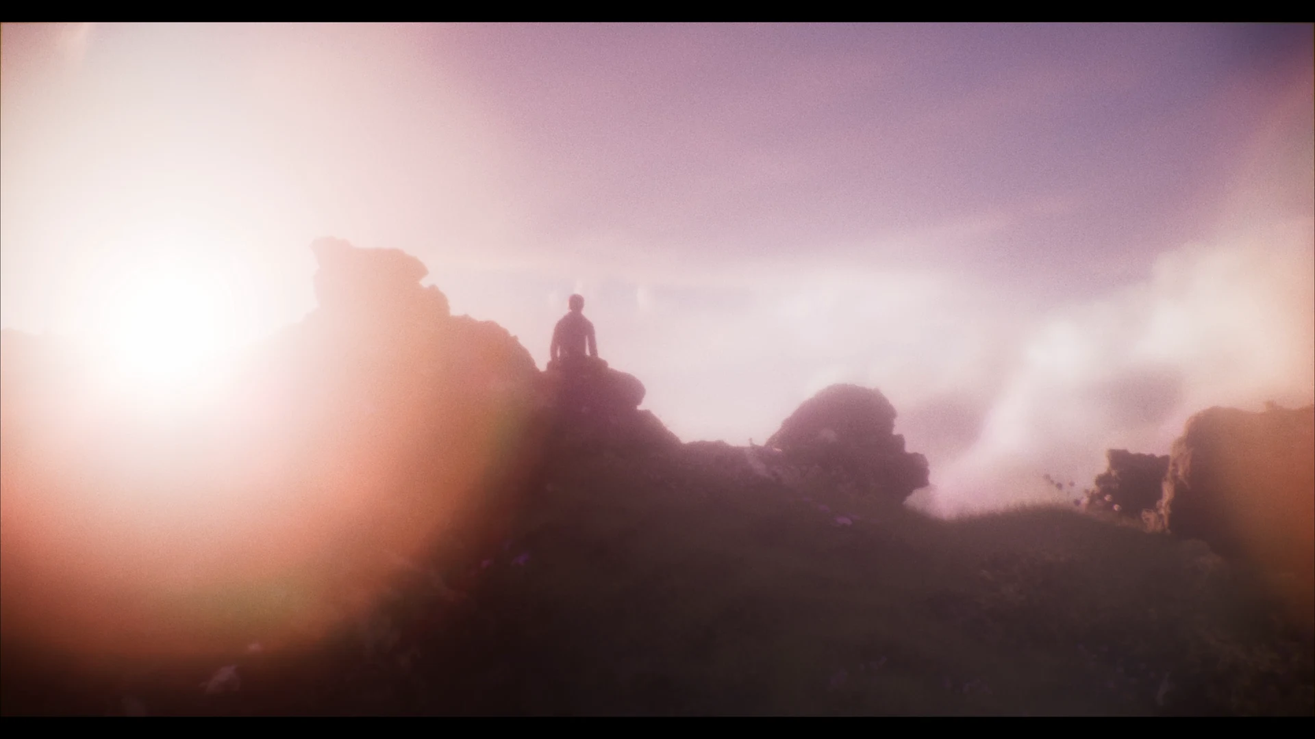 edalo — project image